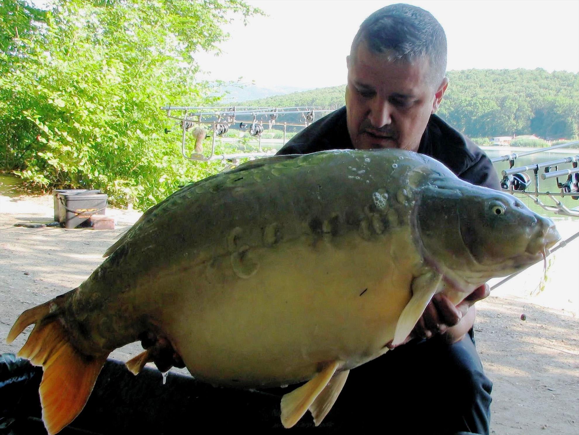 Harsany 22 - 27 iunie 2014 - img1361a.JPG